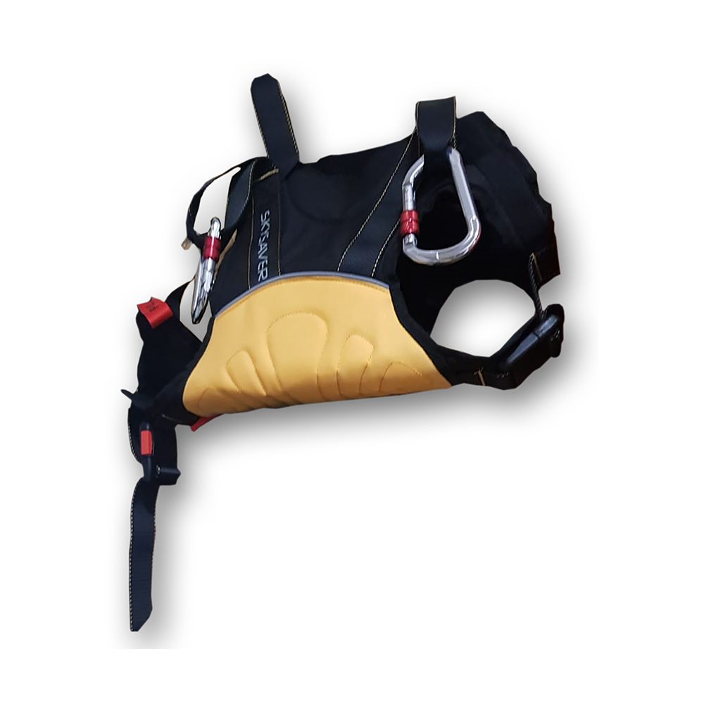 Pet harness